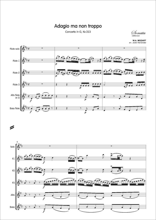 MOZART, W.A.: Concierto en Sol M, Kv313 - 2º mvto. - Imagen 2