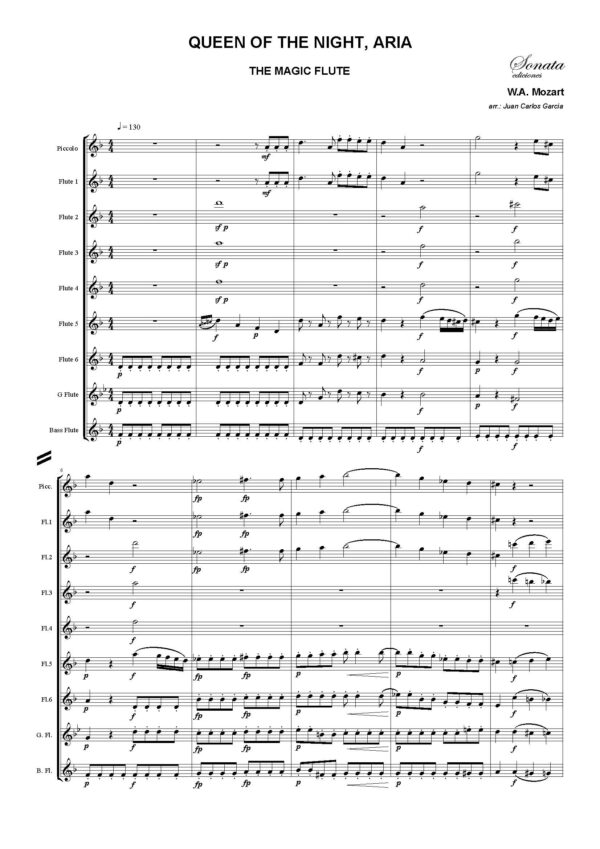 MOZART, W.A.: Queen of the night, Aria · The magic flute - Imagen 2