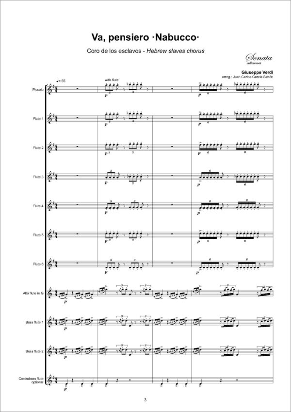VERDI, G.: Va, pensiero · Nabucco. Hebrew slaves chorus - Imagen 2