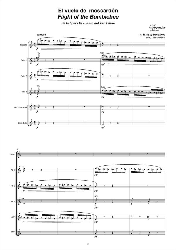 RIMSKY-KORSAKOV, N.: El vuelo del moscardón · The flight of the bumblebee - Imagen 2